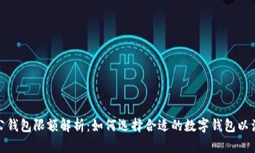 数字货币对公钱包限额解析：如何选择合适的数字钱包以满足企业需求