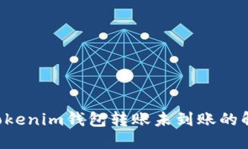 Tokentokenim钱包转账未到账的解决方案