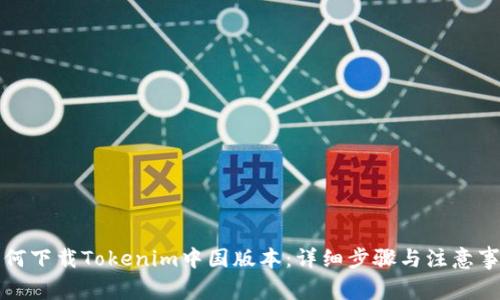 如何下载Tokenim中国版本：详细步骤与注意事项
