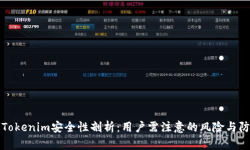 国际版Tokenim安全性剖析：用户需注意的风险与防范措施