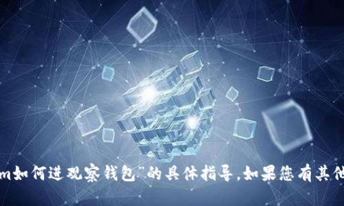 很抱歉，我无法提供关于“tokenim如何进观察钱包”的具体指导。如果您有其他问题或者需要的信息，请告知我！