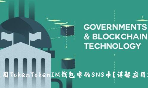 如何有效使用TokenTokenIM钱包中的SNS币？详解应用场景与优势