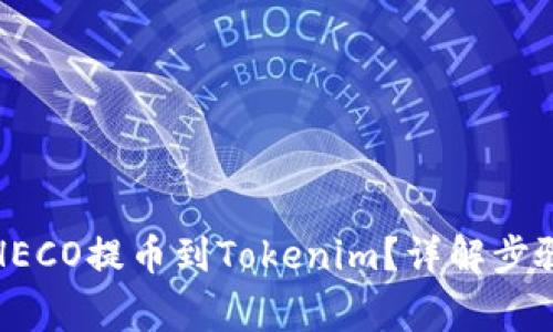 如何将火币HECO提币到Tokenim？详解步骤与注意事项
