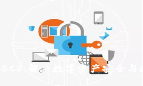 理解区块链 BCS：解决数字资产安全与透明性的问题