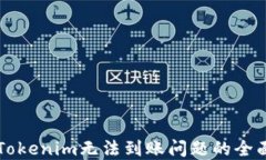解决Tokenim无法到账问题的全面指南
