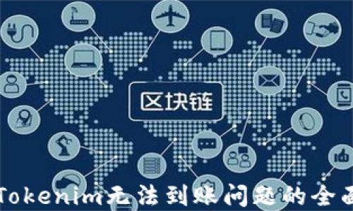 
解决Tokenim无法到账问题的全面指南