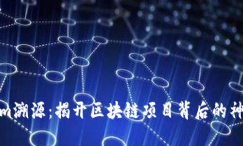 Tokenim溯源：揭开区块链项目背后的神秘面纱