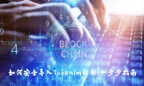 如何安全导入Tokenim私钥：一步步指南