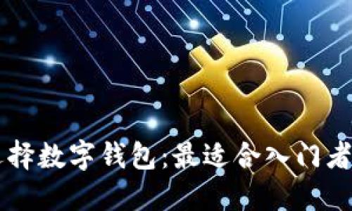 新手如何选择数字钱包：最适合入门者的全面指南