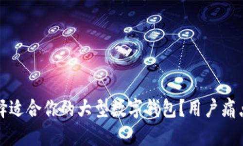 如何选择适合你的大型数字钱包？用户痛点全解析