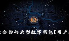 如何选择适合你的大型数字钱包？用户痛点全解