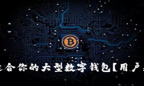 如何选择适合你的大型数字钱包？用户痛点全解析