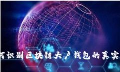 如何识别区块链大户钱包的真实性？