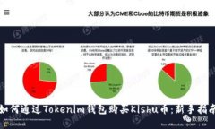 如何通过Tokenim钱包购买Kishu币：新手指南