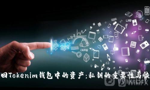 如何找回Tokenim钱包中的资产：私钥的重要性与恢复步骤