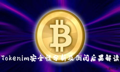 Tokenim安全性分析及倒闭后果解读