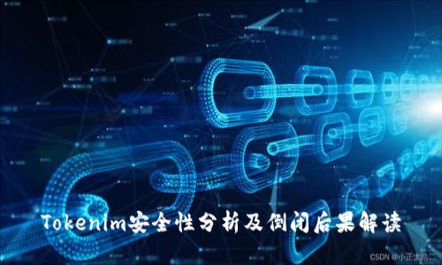 Tokenim安全性分析及倒闭后果解读