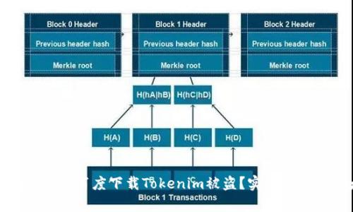 如何有效防止百度下载Tokenim被盗？实用防护技巧大全
