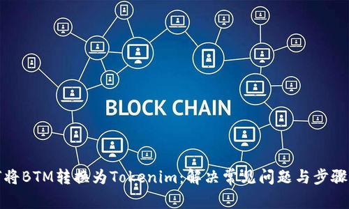 如何将BTM转换为Tokenim：解决常见问题与步骤详解