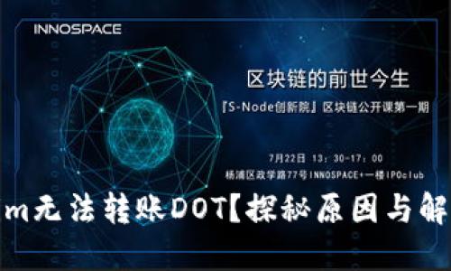 Tokenim无法转账DOT？探秘原因与解决方案