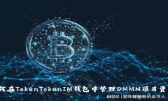 如何在TokenTokenIM钱包中管理DMMM项目资产？