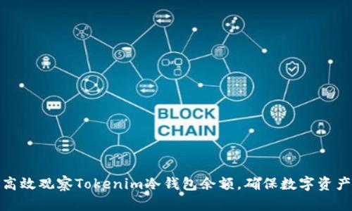 如何高效观察Tokenim冷钱包余额，确保数字资产安全