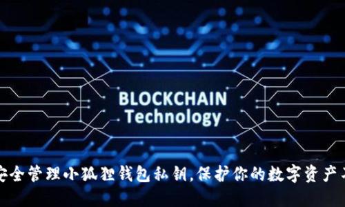 如何安全管理小狐狸钱包私钥，保护你的数字资产不丢失
