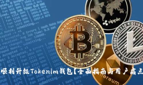 如何顺利升级Tokenim钱包？全面指南与用户痛点解决