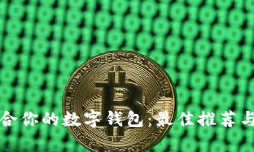 如何选择最适合你的数字钱包：最佳推荐与用户痛点分析