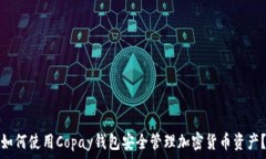   如何使用Copay钱包安全管理加密货币资产？