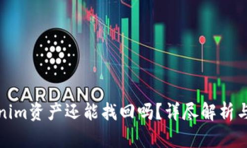 被盗Tokenim资产还能找回吗？详尽解析与应对策略