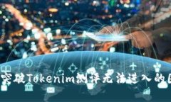 如何突破Tokenim测评无法进入的困境？