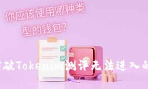 如何突破Tokenim测评无法进入的困境？
