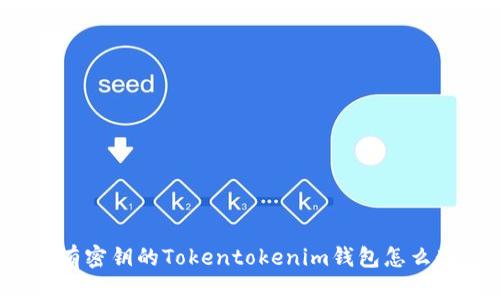 没有密钥的Tokentokenim钱包怎么办？