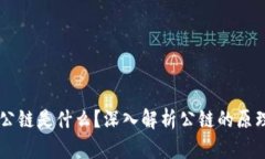 区块链公链是什么？深入解析公链的原理与应用