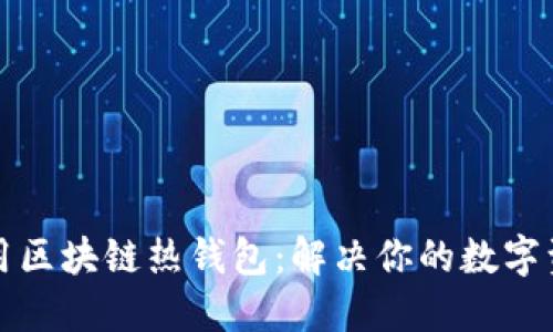 如何安全使用区块链热钱包：解决你的数字资产安全隐忧