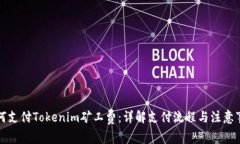 如何支付Tokenim矿工费：详解支付流程与注意事项