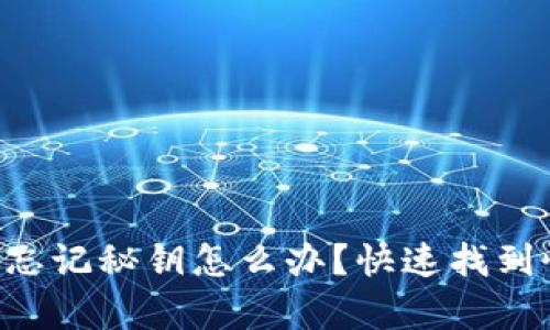 Tokenim忘记秘钥怎么办？快速找到恢复之道
