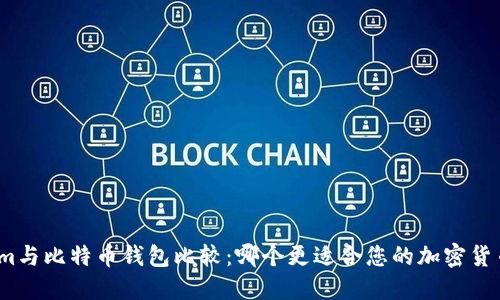 Tokenim与比特币钱包比较：哪个更适合您的加密货币需求？