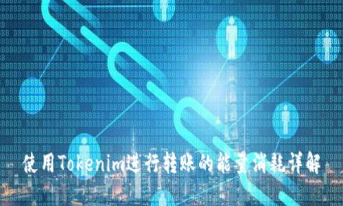 使用Tokenim进行转账的能量消耗详解