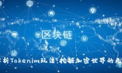深入解析Tokenim玩法：挖掘加密世界的无限潜力
