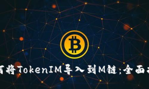 如何将TokenIM导入到M链：全面指南