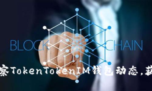 如何高效观察TokenTokenIM钱包动态，获取实时信息