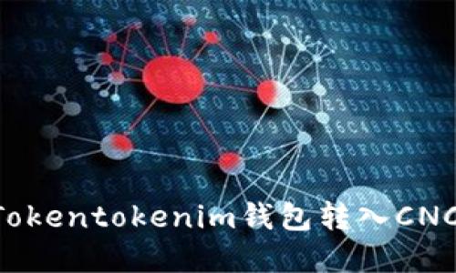 如何通过Tokentokenim钱包转入CNC：完整指南