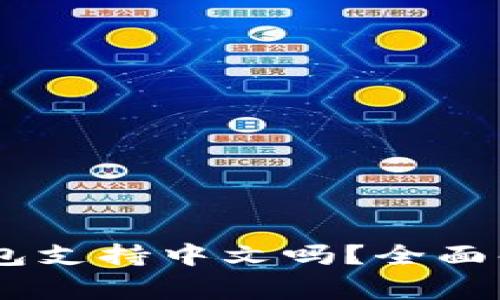 Ledger钱包支持中文吗？全面解析与指南