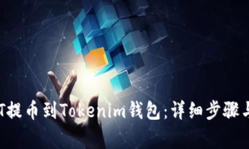 如何将NFT提币到Tokenim钱包：详细步骤与注意事项