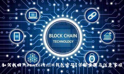如何找回TokentokenIM钱包密码？详解步骤与注意事项