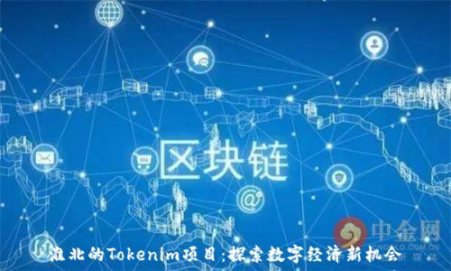   
淮北的Tokenim项目：探索数字经济新机会