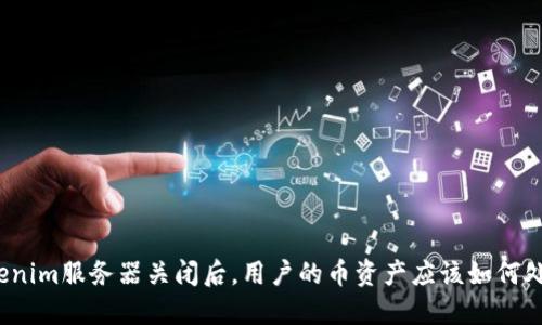 Tokenim服务器关闭后，用户的币资产应该如何处理？