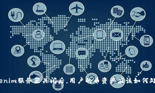 Tokenim服务器关闭后，用户的币资产应该如何处理？